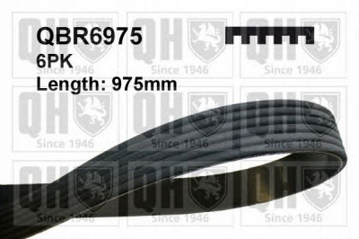 QUINTON HAZELL qbr6975 -  Поликлиновой ремень